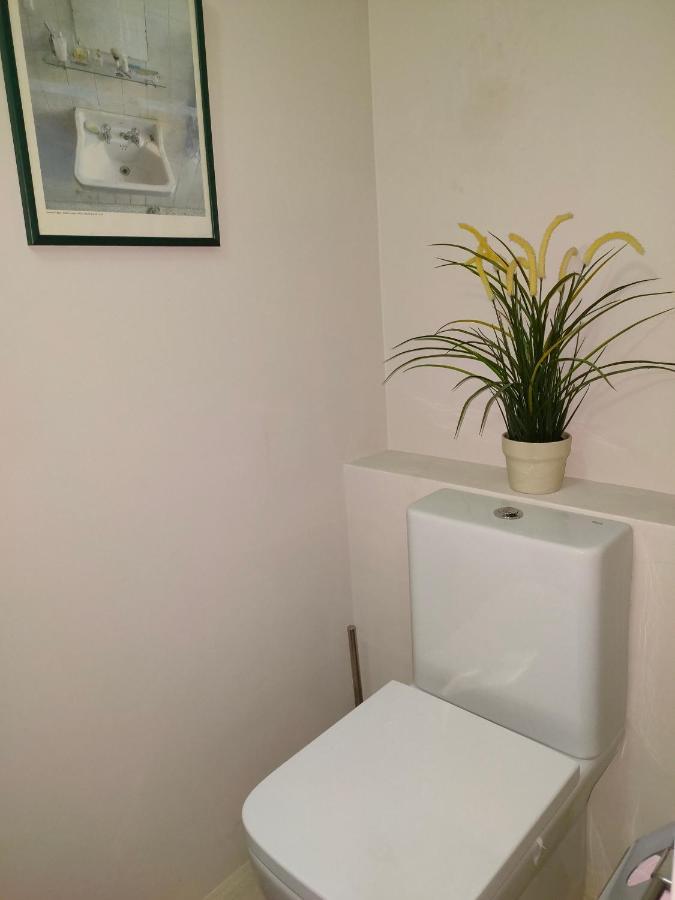 Relax, Silencio Y Sol En El Jardin Apartment อองดาเย ภายนอก รูปภาพ