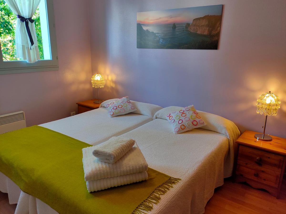 Relax, Silencio Y Sol En El Jardin Apartment อองดาเย ภายนอก รูปภาพ